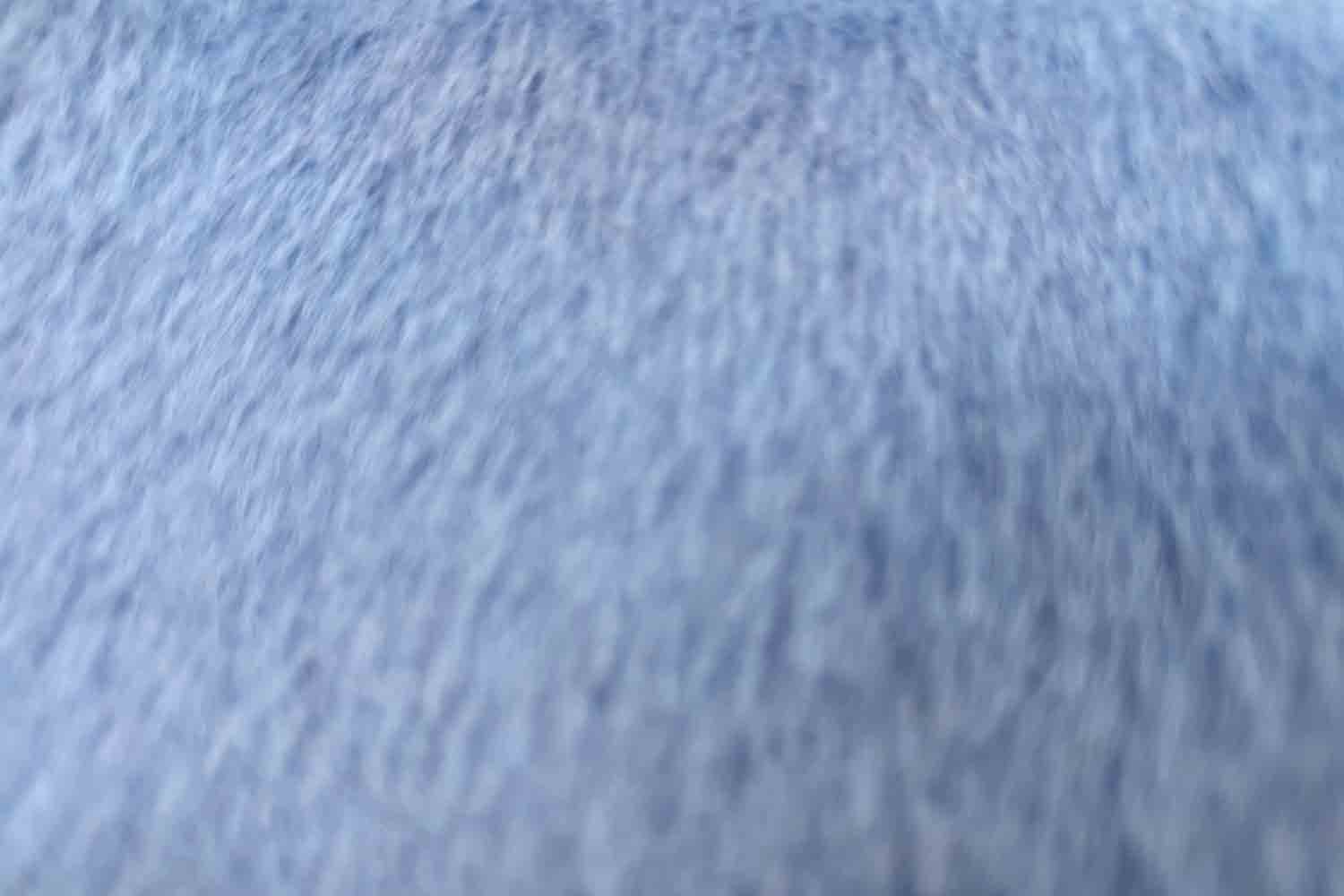 blauer Alpaka Lana Mantelstoff